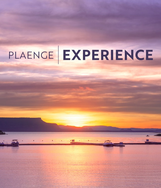 Plaenge Experience
