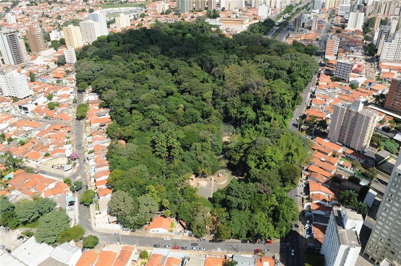 Sobre o Bairro Campinas Plaenge Authentic