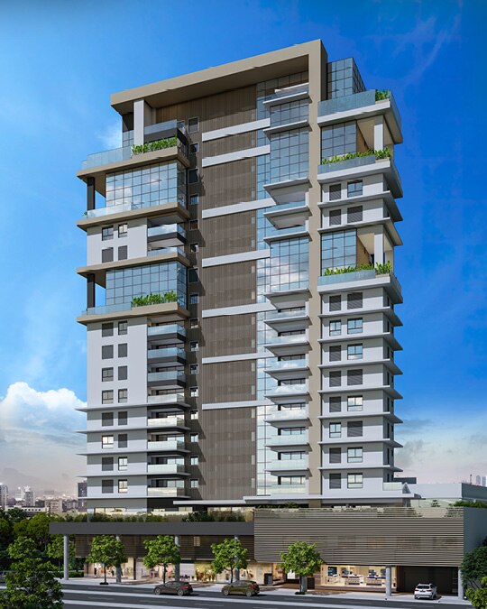 Zoom Curitiba Plaenge Fifty-Cabral