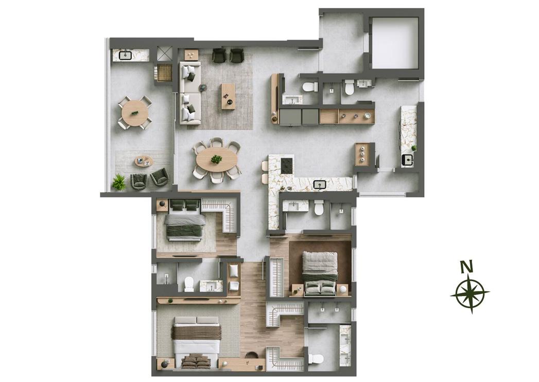 Planta Joinville Plaenge hausgarten