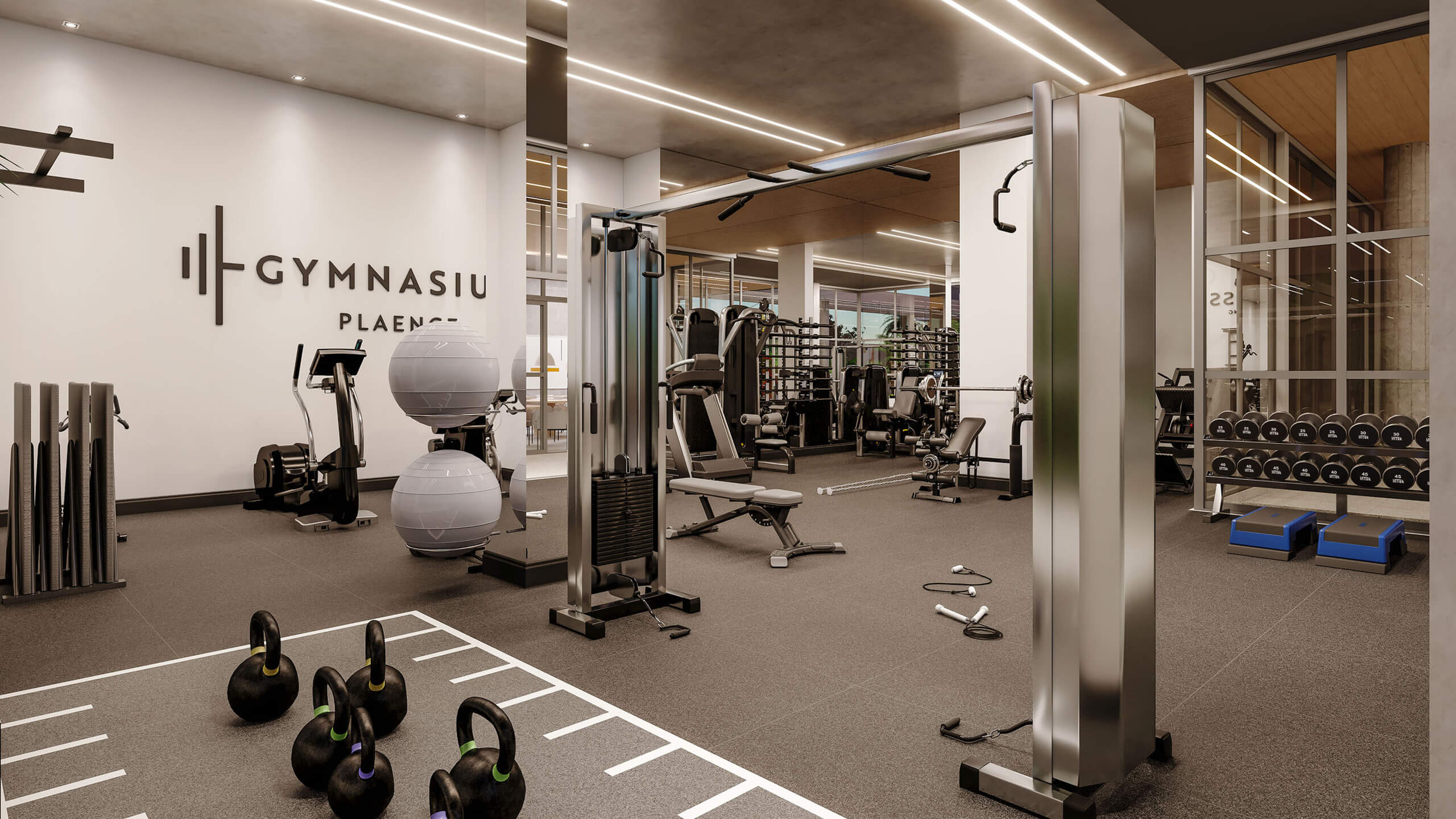 Lazer Curitiba Plaenge Rodin