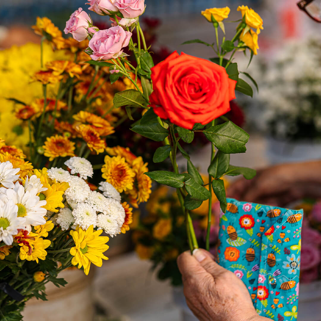 Sobre o Bairro Londrina Plaenge Paseo-Santos