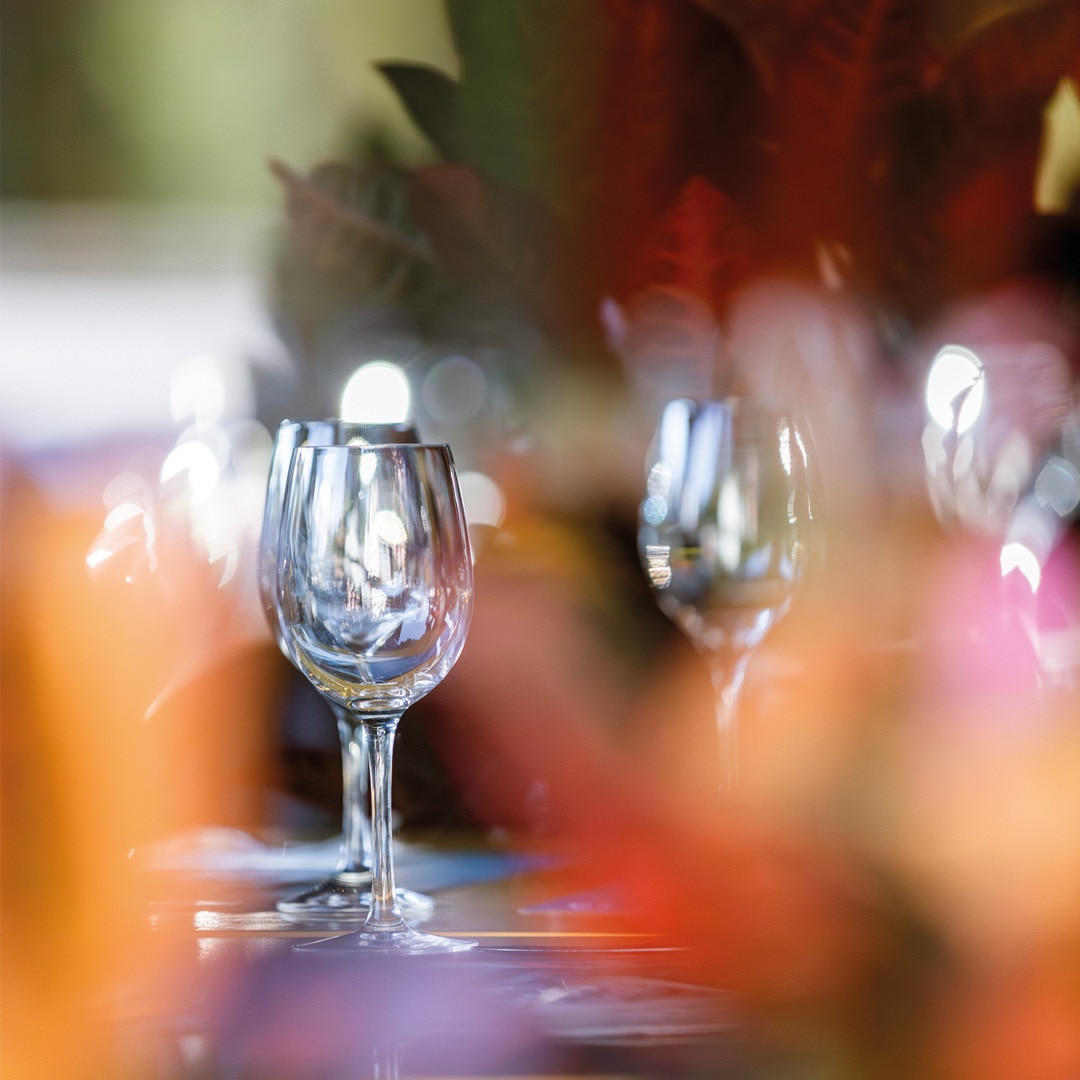 Sobre o Bairro Joinville Plaenge One