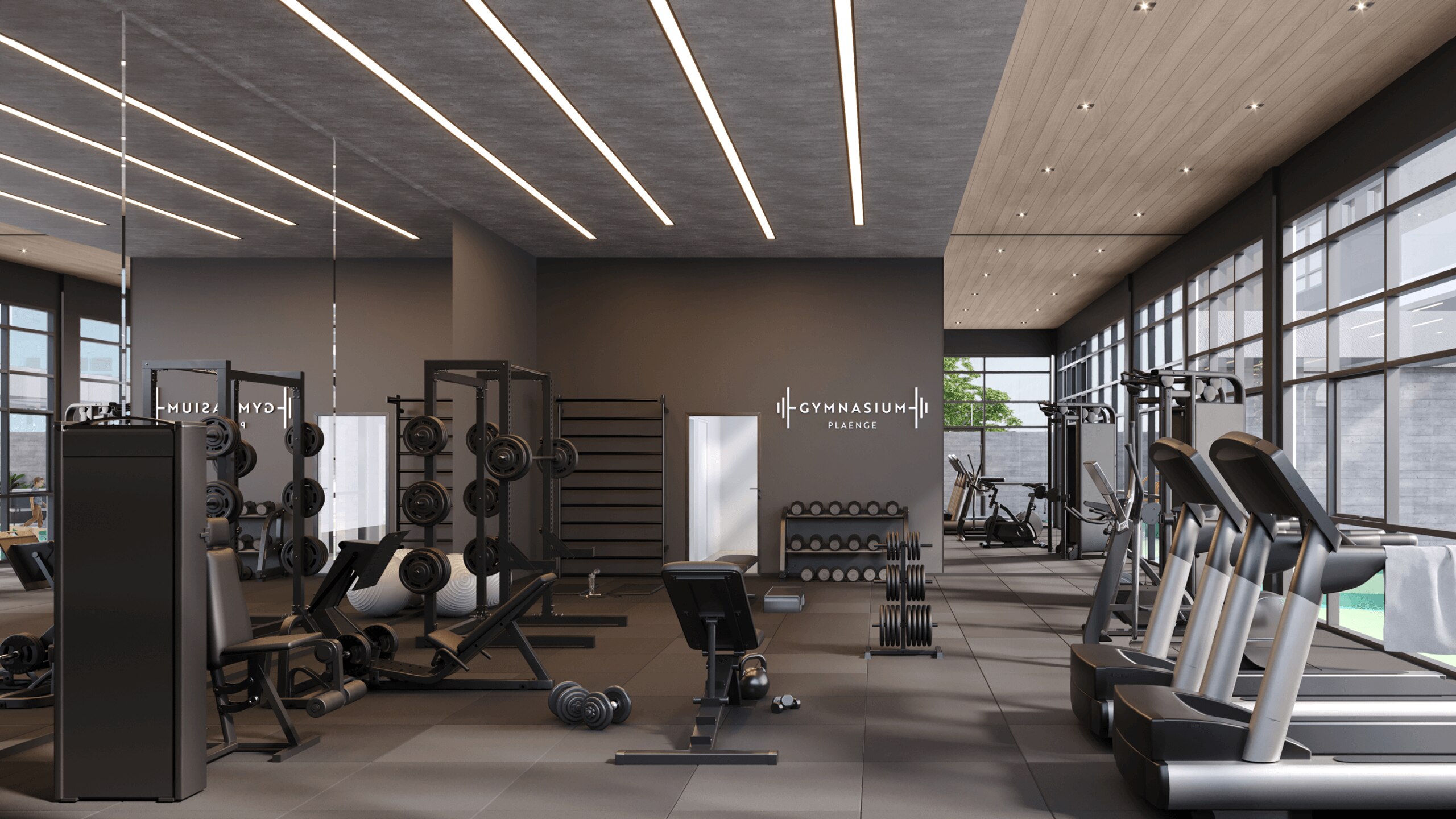 Lazer Curitiba Plaenge Palm-235