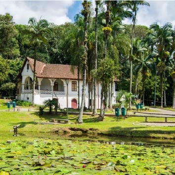 Sobre o Bairro Joinville Plaenge Hausgarten