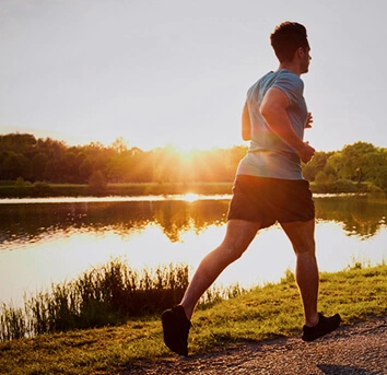 Sobre o Bairro Londrina Plaenge Arbo-E-Flora