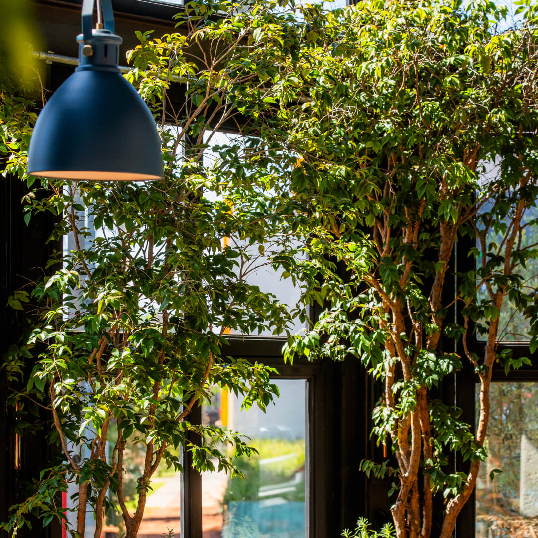 Sobre o Bairro Campo Grande Plaenge Alameda-Jardim