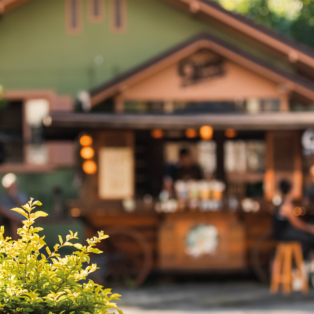 Sobre o Bairro Joinville Plaenge One