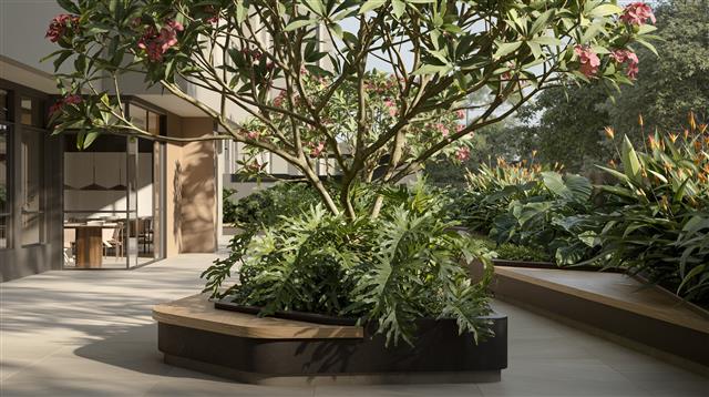 Lazer Curitiba Plaenge Artis