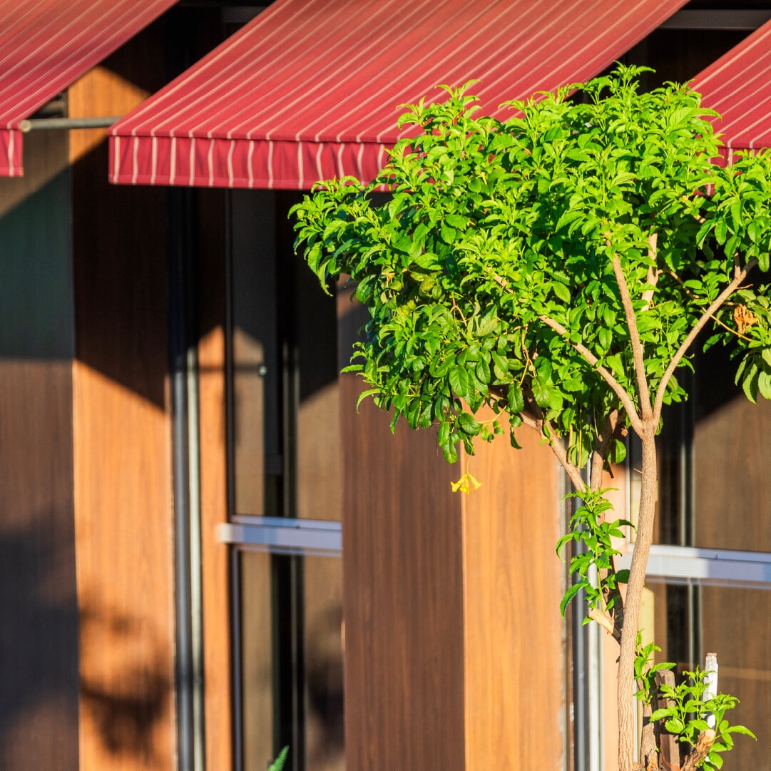 Sobre o Bairro Campo Grande Plaenge Alameda-Jardim