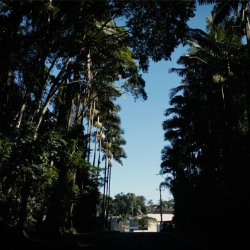 Sobre o Bairro Joinville Plaenge Aman