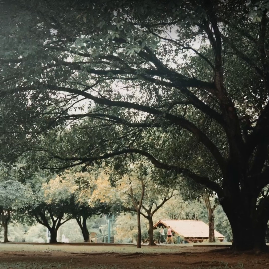 Sobre o Bairro Cuiab Plaenge Aughe