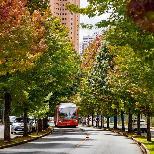 Sobre o Bairro Curitiba Plaenge Horizon-Ecoville