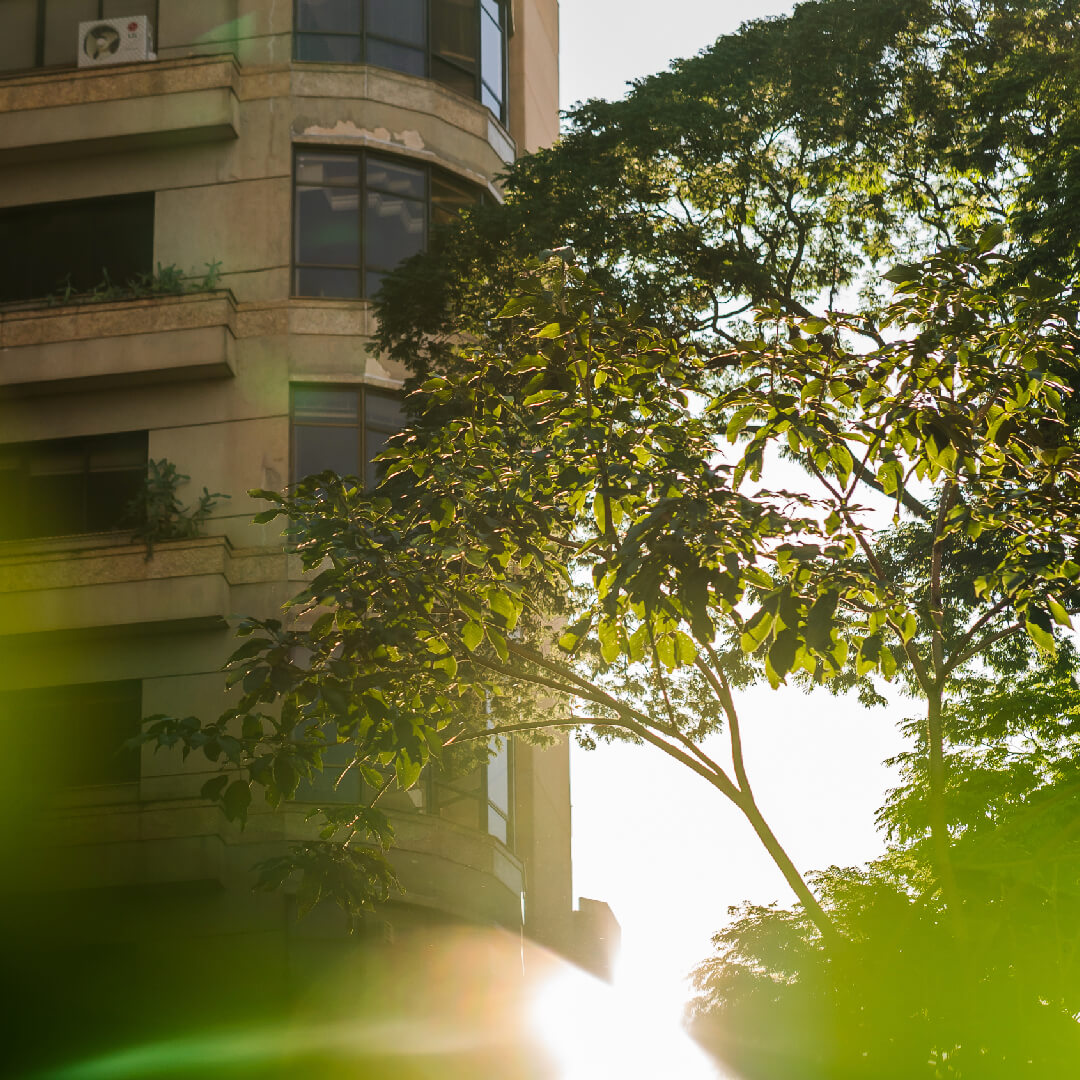 Sobre o Bairro Londrina Plaenge Paseo-Santos