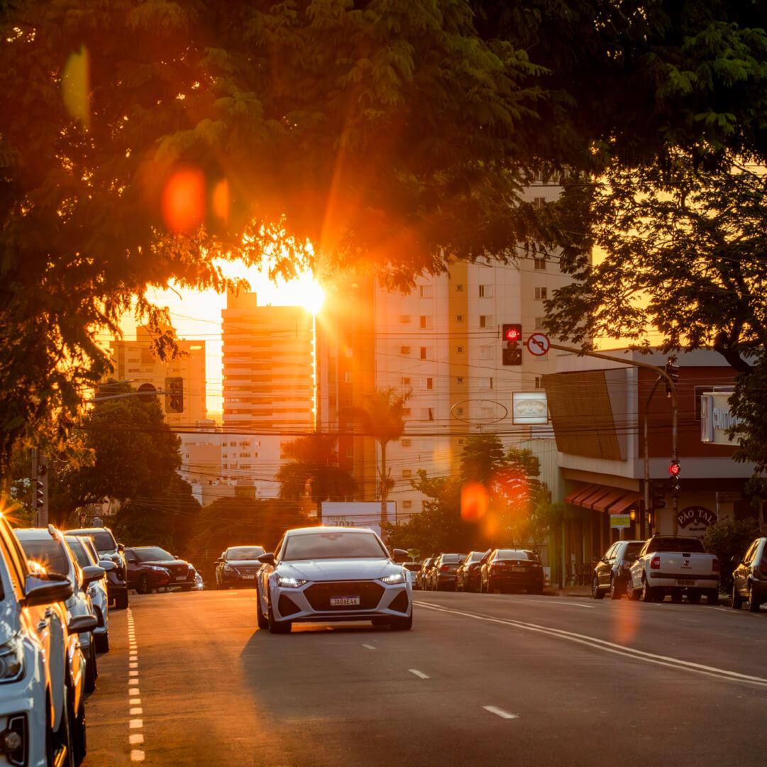Sobre o Bairro Campo Grande Plaenge Alameda-Jardim